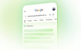 2025-10-Google Overview and AI