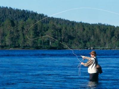 fishing hook reel and net