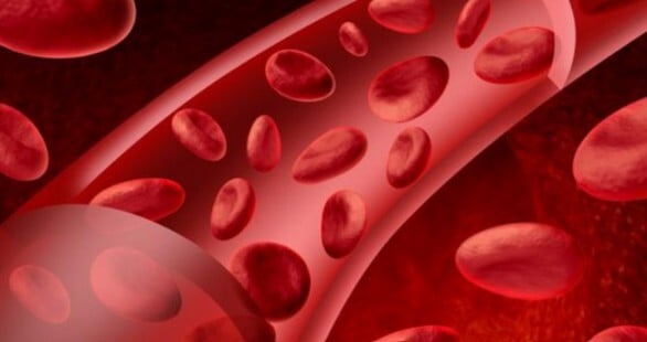 you need brand content in your company's bloodstream
